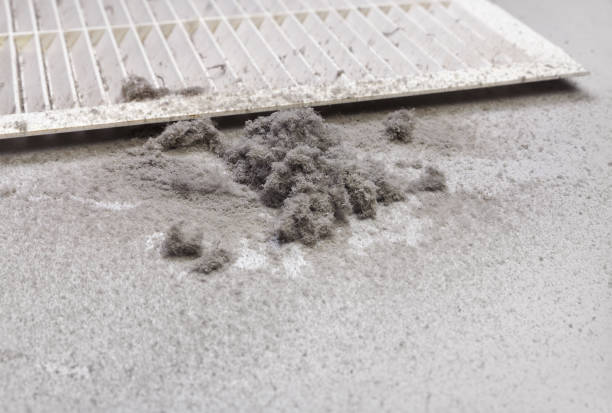 Best Commercial Air Duct Cleaning  in Wilmington, NC