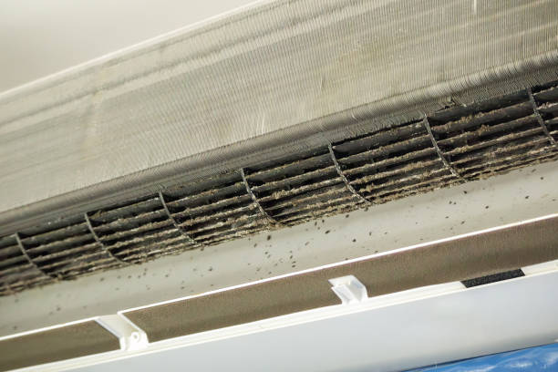 Best Affordable Air Duct Cleaning  in Wilmington, NC